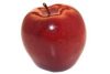 Top red delicious (szabadgyökeres alma oltvány) Top red delicious (szabadgyökeres alma oltvány)