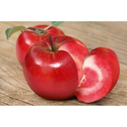 Kathy vörösbelű alma (szabadgyökeres alma oltvány)