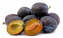 Olasz kék (szabadgyökeres szilva oltvány)