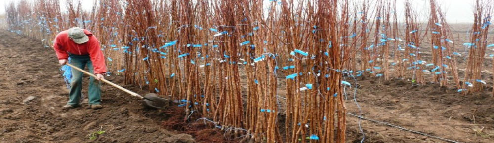 +36706025551 +36706086964 +36706025551 +36706086964