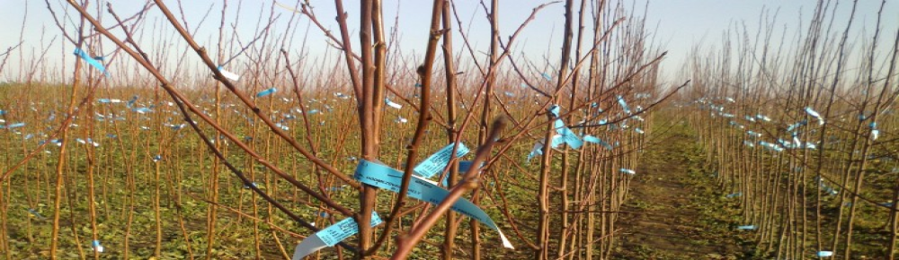 +36706025551 +36706025551