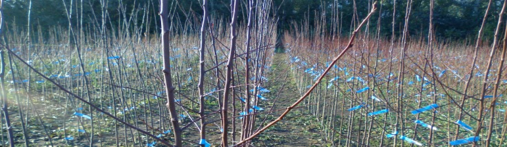 +36706025551 +36706086964 +36706025551 +36706086964