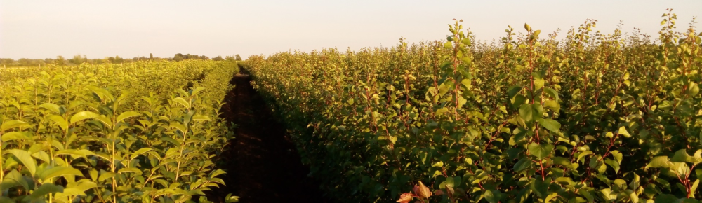 Hívjon Most! Hívjon Most!