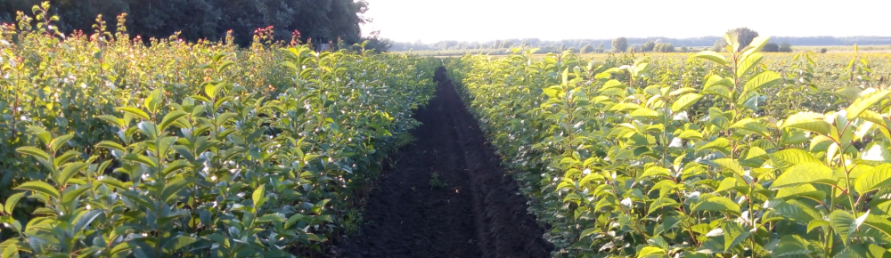 Hívjon Most! Hívjon Most!