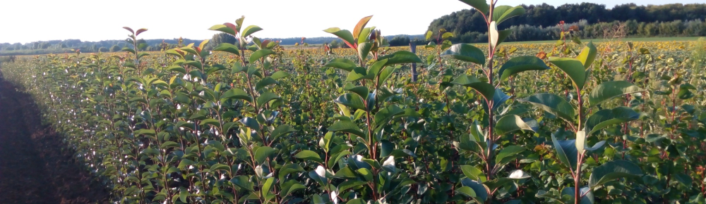 Hívjon Most! Hívjon Most!