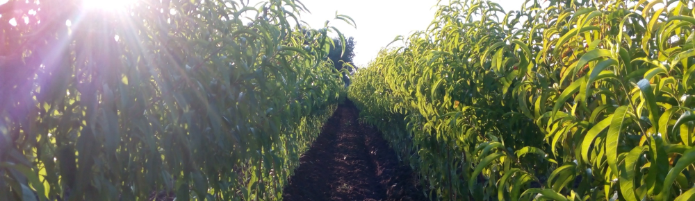 Hívjon Most! Hívjon Most!