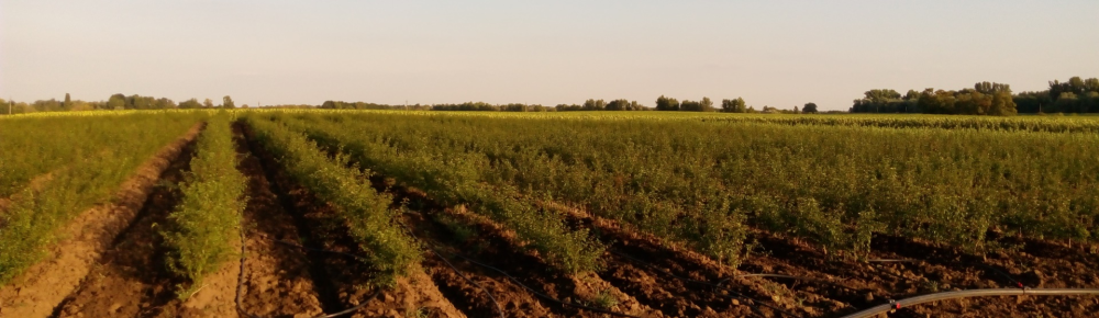 +36706025551 +36706086964 +36706025551 +36706086964