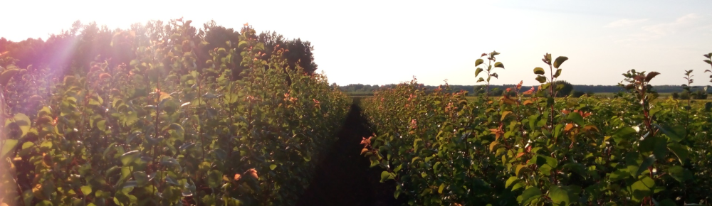 Hívjon Most! Hívjon Most!